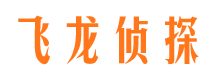 北辰市调查公司